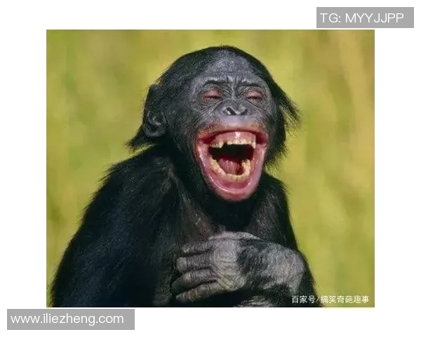 足球明星的光环背后那些不为人知的搞笑瞬间与尴尬时刻